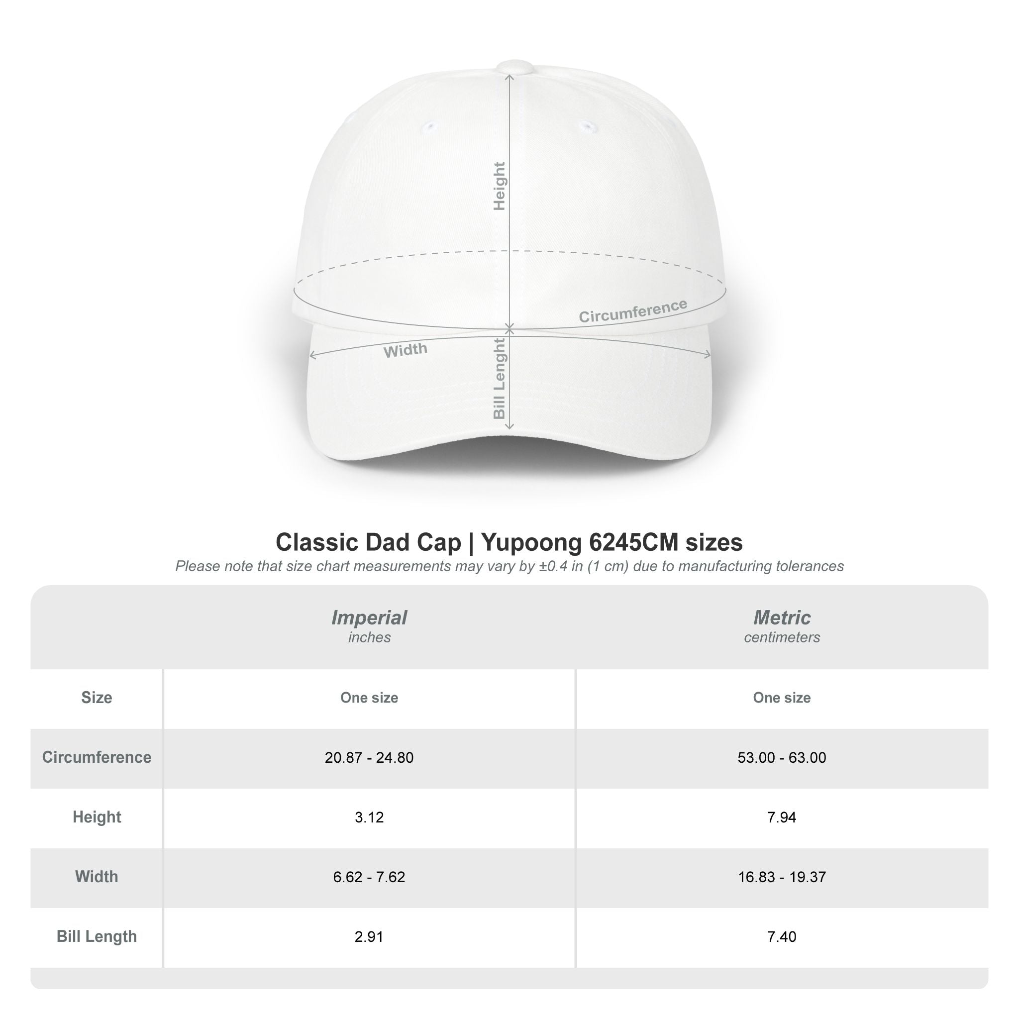 Own Your Future Dad Hat - Motivational Embroidered Cap, Minimalist Streetwear, Adjustable Cotton Baseball Hat